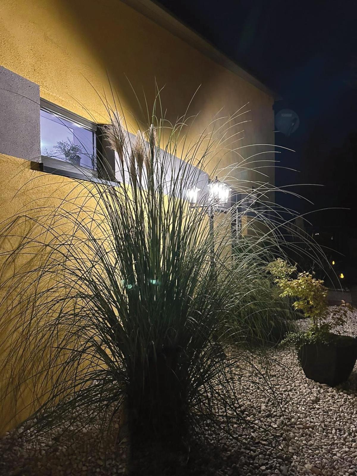 Ferienhaus Nicole Ii, Barrierefrei, Mit Hiro Lift Quedlinburg Ngoại thất bức ảnh
